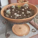 Paraiso Resiliente * Santana (Madeira)