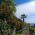 Paraiso Resiliente *