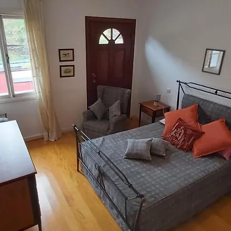 Paraiso Resiliente * 桑塔纳