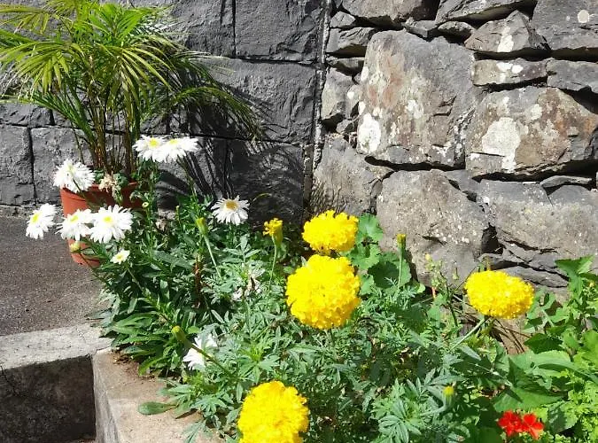 Agroturismo Paraíso Resiliente Santana (Madeira)