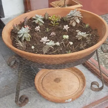 Paraiso Resiliente * Santana (Madeira)