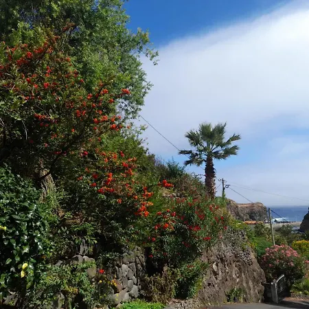 Paraiso Resiliente *