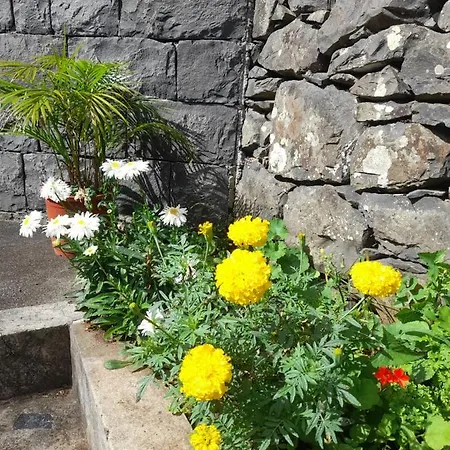 Κατάλυμα σε φάρμα Paraiso Resiliente Santana (Madeira)