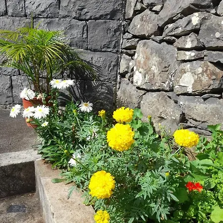 Farm stay Paraiso Resiliente Santana (Madeira)