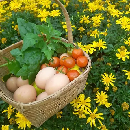 Paraiso Resiliente Farm stay
