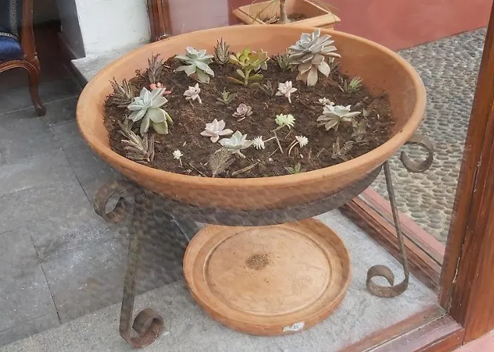 Paraiso Resiliente * سانتانا