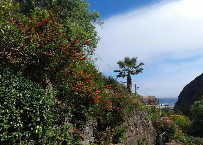 Paraiso Resiliente *