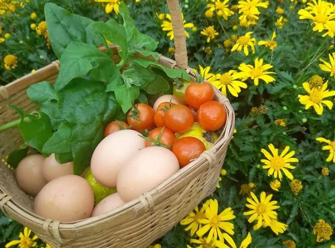 Paraiso Resiliente Gospodarstwo agroturystyczne